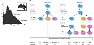 An Epigenetic Signature for Within-Generational Plasticity of a Reef Fish to Ocean Warming